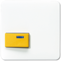 Jung CD 642 D WW Крышка для Ackermann, тип 73642 D