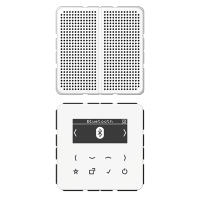 Jung DAB CD1 BT WW Смарт радио DAB+ Bluetooth, моно