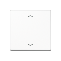 Jung A 1700 BFP WW Центральная плата стандарт «стрелки»