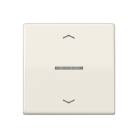 Jung AS 101 KO5P Клавиша с окошком и с символами «стрелки»