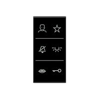 Jung SI V6 A DC SW Накладка с символами видео