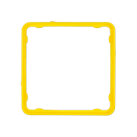 Jung CDP 81 GE Внутренняя цветная рамка