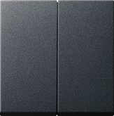 Gira 0266 28 Клавиша 2-местн., в комплекте с набором уплотнений IP44 Standard 55, Gira E2