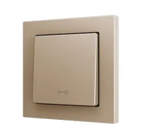 Zennio ZS551PB1KC ZS55. Простая сенсорная кнопка для 1 двоичного входа, 55 x 55 мм, Цвет шампанского