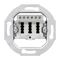Jung TAE 3X6 NFNUPO TAE (telephone) socket