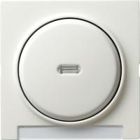 Gira 0670 40 Накладка с полем для надписи и клавишей с контрольным окошком