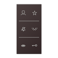 Jung SI V6 AL DC D Накладка с символами видео