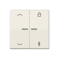 Jung AS 1751 PBT Таймер универсальный Bluetooth «стрелки»