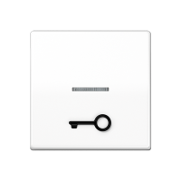 Jung AS 591 T1KO5 WW Безбарьерная средаKлавиша с рельефным символом «ключ» и окошком