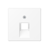 Jung A 569-1 BFPLUA WWM Kрышка