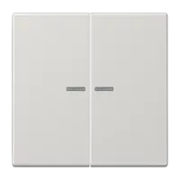 Jung LS 995 KO5 LG Kлавиша с окошком, duroplastic, Серия LS, светло-серый