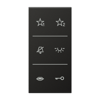 Jung SI A6 AL DC AN Накладка с символами аудио
