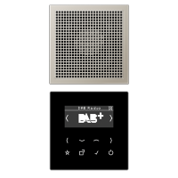 Jung DAB ES1 Смарт радио DAB+, моно