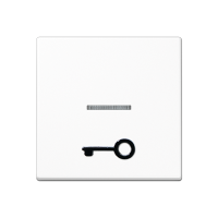 Jung A 590 T1KO WW Безбарьерная средаKлавиша с рельефным символом «ключ» и окошком