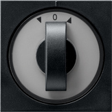 Gira 0666 005 Накладка с поворотной ручкой для реле времени и выключателя или кнопочного выключателя жалюзи