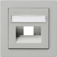 Gira 028442 Накладка для коммутационной розетки UAE/IAE (ISDN) и коммутационной розетки подключения к сетиС полем для надписи