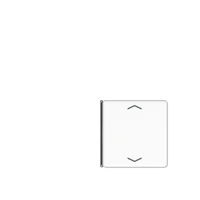 Jung A 404 TSAP WW 14 Накладка, 4-ная с символами «стрелки»