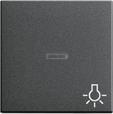 Gira 067428 Клавиша с контрольным окошком и символомСвет