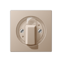 Jung A 1541 CH Kрышка