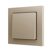 Zennio ZS551PB2C ZS55, Простая мягкая кнопка для 2 бинарных входов 55x55 мм – Шампанское