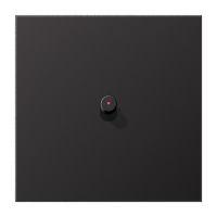 Jung AL 12-0 KO D R 01 Центральная плата с тумблером «цилиндр», с окошком