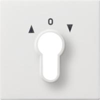 Gira 0664 112 Накладка для замкового выключателя и замкового кнопочного выключателя