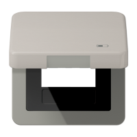 Jung CD 590 KL USB PT Откидная крышка