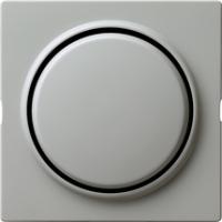 Gira 029642 Накладка и клавишасо вставной накладкой