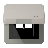 Jung CD 590 KL LAN PT Откидная крышка