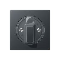 Jung A 1541 BF ANM Kрышка