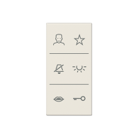 Jung SI V6 A DC W Накладка с символами видео