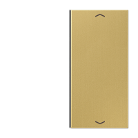 Jung ME 2402 TSAP C Накладка, 2-ная с символами «стрелки»