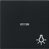 Gira 0674005 Клавиша с контрольным окошком и символомСвет