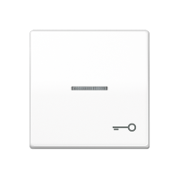 Jung AS 591 KO5T WW Kлавиша с символом «ключ» и окошком