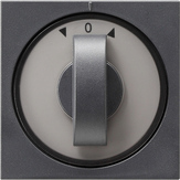 Gira 0666 28 Накладка с поворотной ручкой для реле времени и выключателя или кнопочного выключателя жалюзи