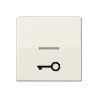 Jung ABAS 591 T1KO5 Безбарьерная средаKлавиша с рельефным символом «ключ» и окошком