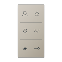 Jung SI V6 ES DC Накладка с символами видео