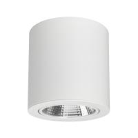 Arlight 021428 Светильник SP-FOCUS-R140-30W Day White (Arlight, IP20 Металл, 3 года)
