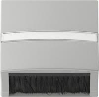 Gira 0682 42 Откидная накладка с адаптерной рамкой для устройств с накладкой (50 х 50 мм) и наклонным выходным отверстием