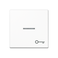 Jung A 590 BFKO5 T WW Kлавиша с символом «ключ» и окошком