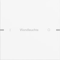 Gira 5031927 Набор клавиш одинарн., индивидуально для сенсорного выключателя 4