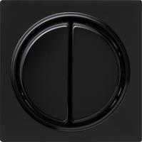 Gira 0295 47 Накладка и клавиша, 2-местн.