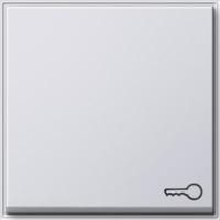 Gira 028766 Клавиша с символомДверь