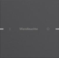 Gira 5031928 Набор клавиш одинарн., индивидуально для сенсорного выключателя 4