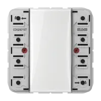 Jung CD 5292 1ST KNX кнопочный сенсорный модуль универсальный, 2 группы, F50, Серия CD, Безопасный