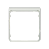 Jung CDP 82 LG Внешняя цветная рамка