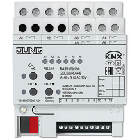 Jung 23066 REGHE KNX мультистанция