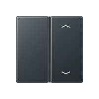 Jung A 401 TSAP ANM Накладка, 1-ная с символами «стрелки»