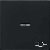 Gira 0209005 Клавиша с контрольным окошком и символомРозетка