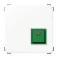 Jung NRS CD 0834 AT WW Кнопка сброса